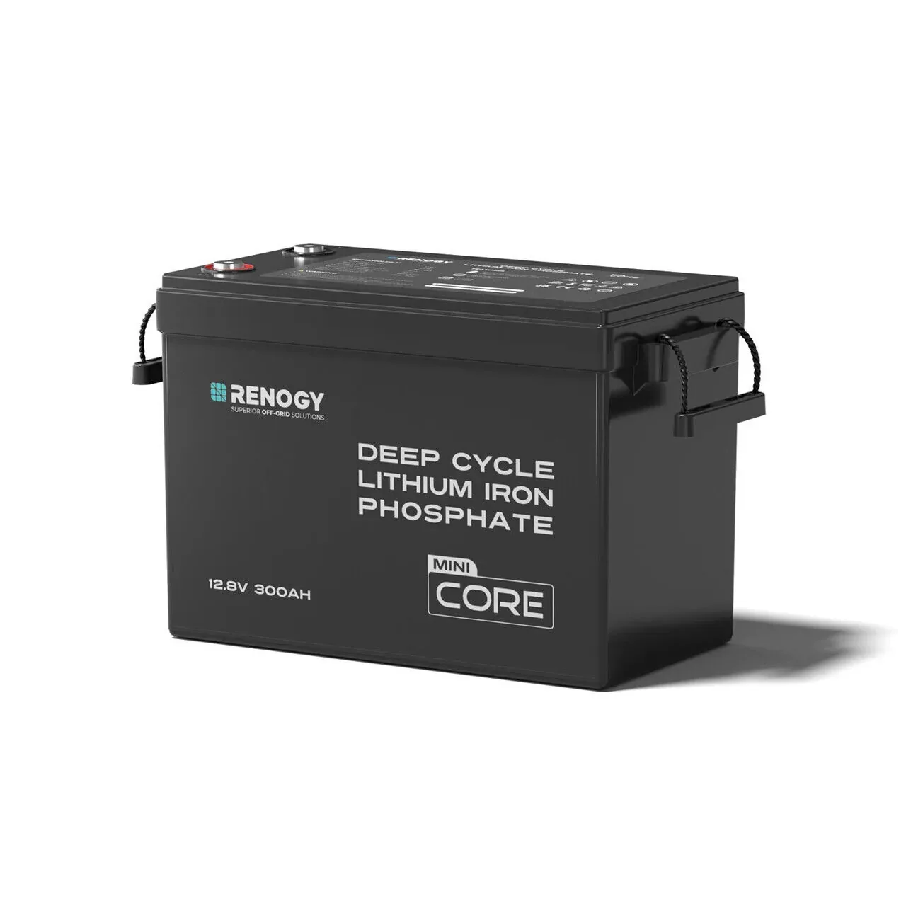 Renogy 300Ah lithium battery for Rover and Trekka